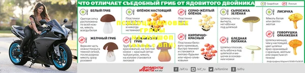 гидра Армянск
