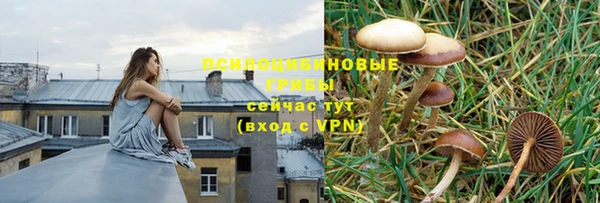 винт Нефтегорск