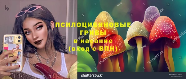гидра Армянск